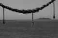 EM5S0220.jpg