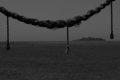 EM5S0220.jpg
