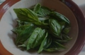 01basil.jpg