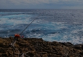 DSC_0040-800.jpg