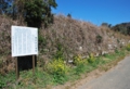 ikedanohama-024-800.jpg