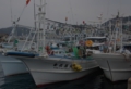 DSC_1198.jpg