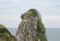 DSC_0125.jpg