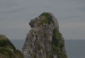 DSC_0125.jpg