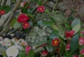 DSC_1545.jpg