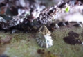 R0014360_Ri.jpg