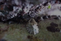 R0014360_Ri.jpg