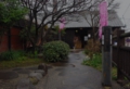 IMGP4303.jpg