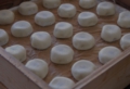 mushiki-e1327581962587.jpg