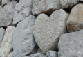 heart1-e1328102359522.jpg