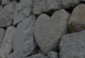 heart1-e1328102359522.jpg