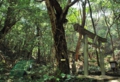 tendo-001-800.jpg