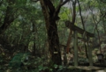 tendo-001-800.jpg