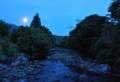 genjibotaru-001-800.jpg