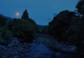 genjibotaru-001-800.jpg