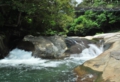 ayumodoshi-011-800.jpg