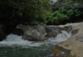 ayumodoshi-011-800.jpg