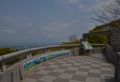 DSC_0020-800.jpg