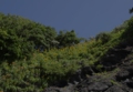 hakuunnkisuge001-800.jpg