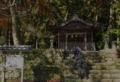 imamiya03800.jpg