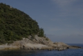 DSC0009-800.jpg