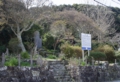 DSC0035-800.jpg
