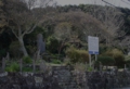 DSC0035-800.jpg