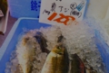 DSCF1546.jpg