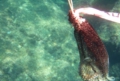 tako001.jpg