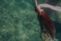 tako001.jpg