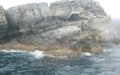 tamanoura03.jpg
