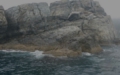 tamanoura03.jpg