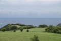 DSC0002-800-640x424.jpg