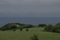 DSC0002-800-640x424.jpg