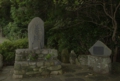 01DSC0043-800.jpg