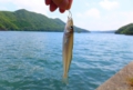 DSCF1815.jpg