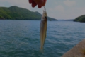 DSCF1815.jpg
