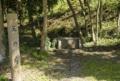 DSC0026-800.jpg